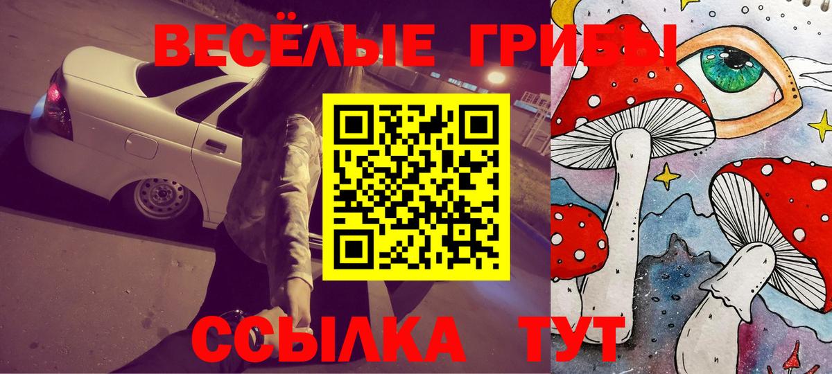 Псилоцибиновые грибы ЛСД  Вход с VPN  Галлюциногенные грибы GOLDEN TEACHER  Вязники 