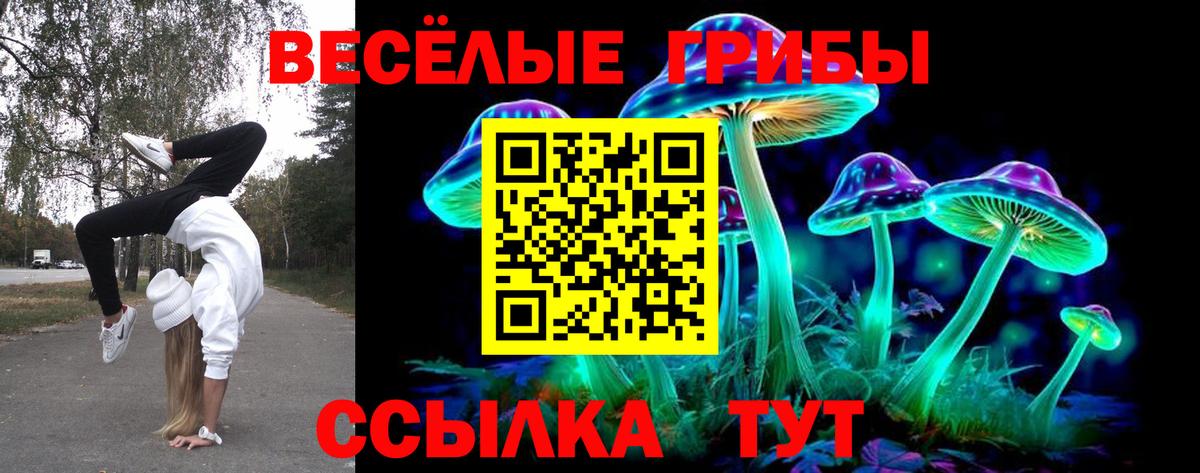 Галлюциногенные грибы Cubensis Вязники